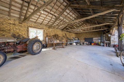 photo no. 14