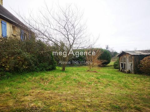 photo no. 8