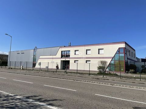 photo no. 2