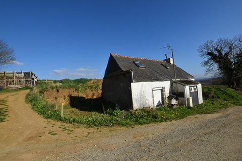 photo no. 1