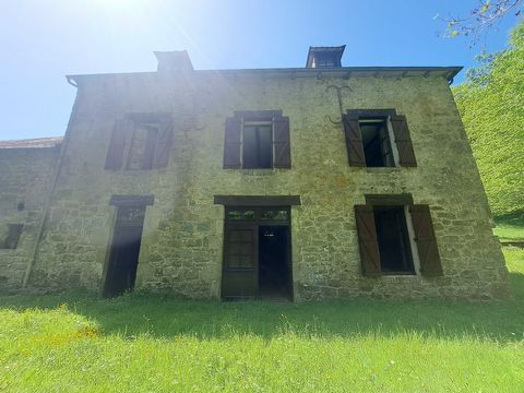 photo no. 18