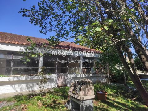 photo no. 2