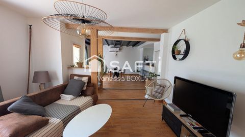 photo no. 11