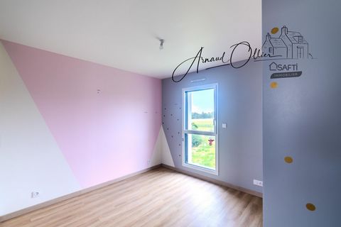 photo no. 11