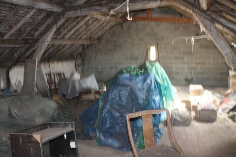 photo no. 14