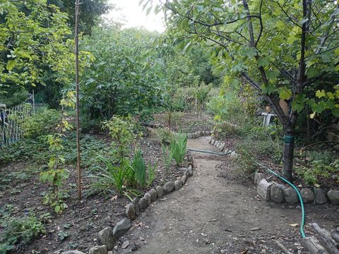 photo no. 6