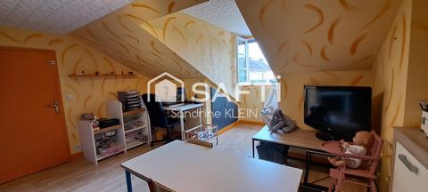 photo no. 12