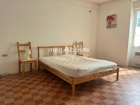photo no. 6