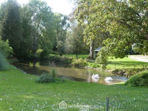 photo no. 19