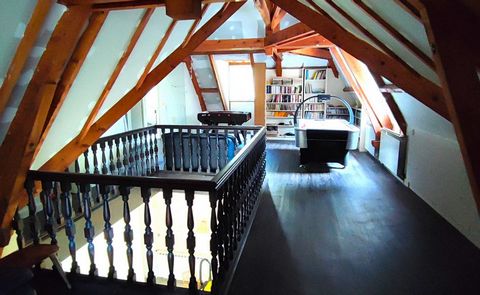 photo no. 13