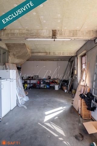 photo no. 17