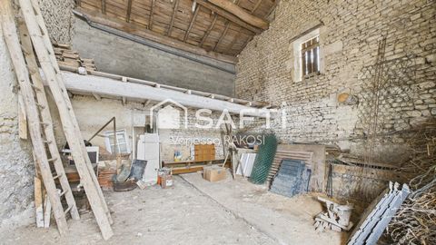 photo no. 12