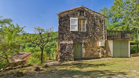 Maison en pierre + piscine + 1.7 ha terrain - VALLEE DU TARN - AVEYRON