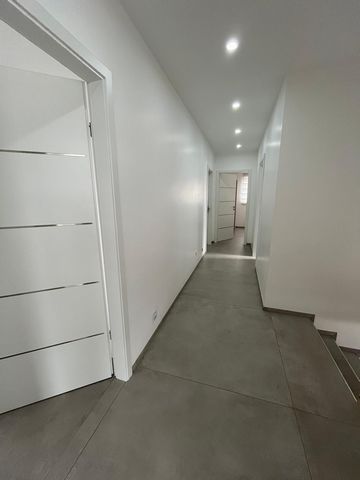 photo no. 7