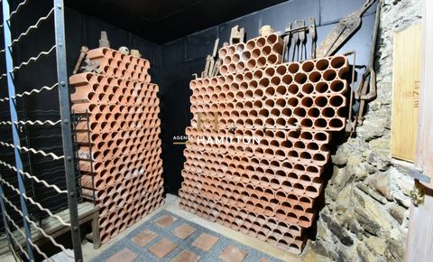 photo no. 10