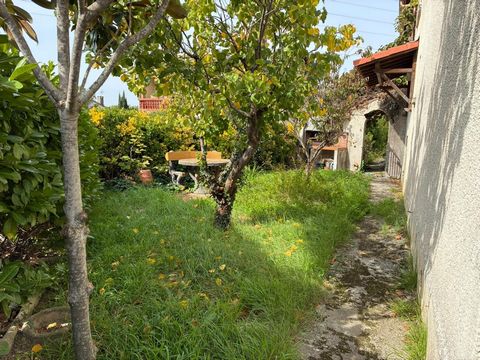 photo no. 10