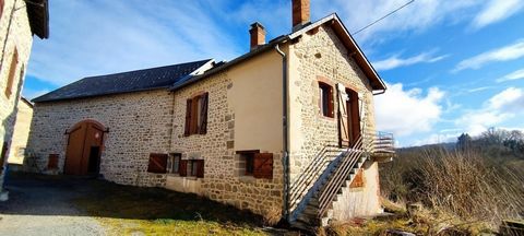 photo no. 16