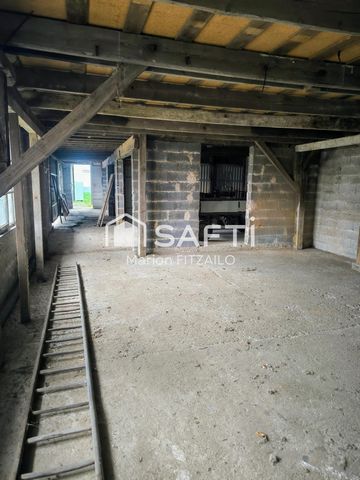photo no. 8