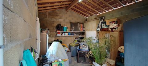 photo no. 15