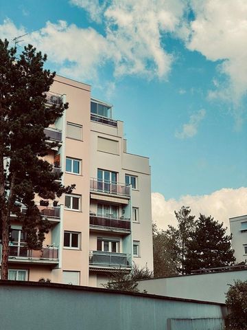 photo no. 10