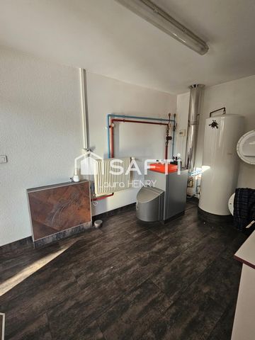 photo no. 11