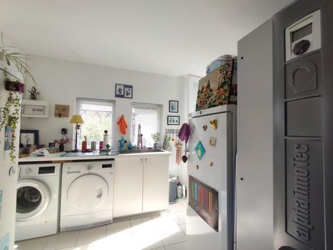 photo no. 17