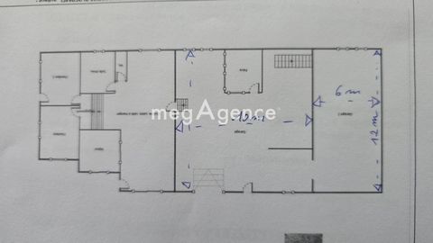 photo no. 11