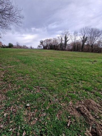 photo no. 2