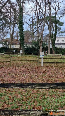 photo no. 10