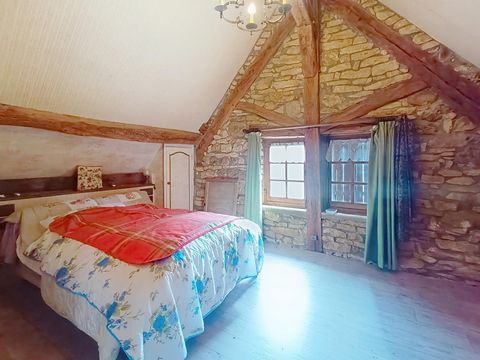 photo no. 11