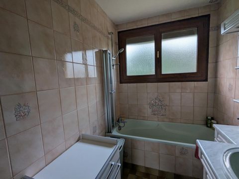 photo no. 8