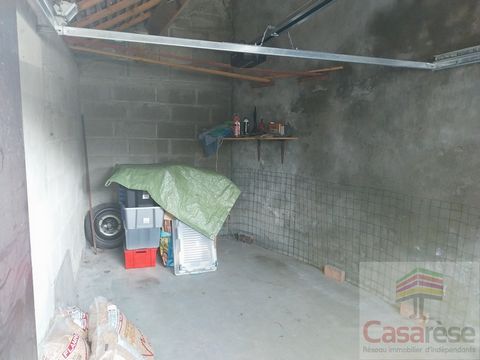 photo no. 10