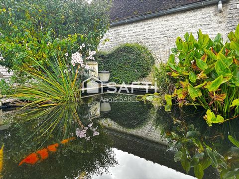 photo no. 18