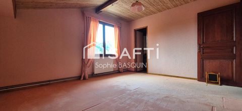 photo no. 17