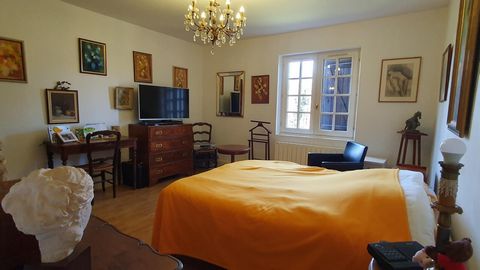 photo no. 9