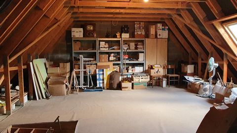 photo no. 16
