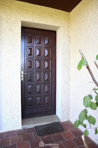 photo no. 2
