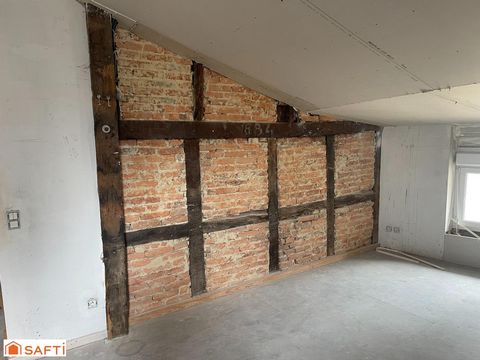 photo no. 11