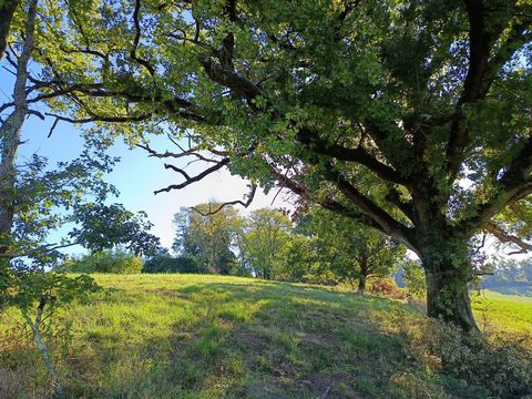 Terrain agricole de 9582m² avec eau et éléctricité