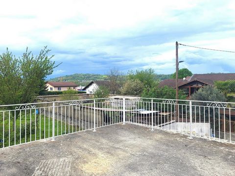 photo no. 8
