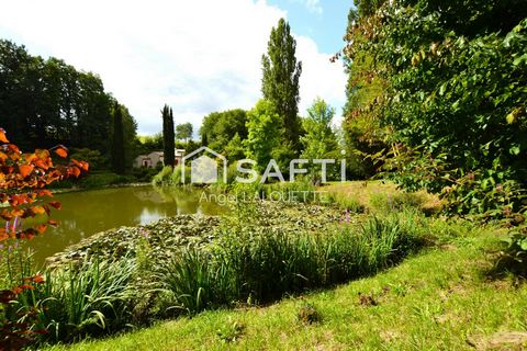 photo no. 16