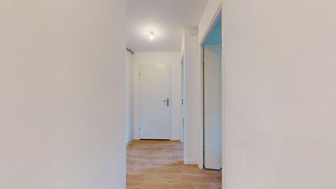 photo no. 11