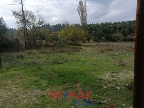 Stamata, Plot For Sale, Out of City plans, 278 sq.m., Building factor: 0,7, View: Mountain View, Price: 16.000€. REMAX PLUS, Tel: ... , email: ...