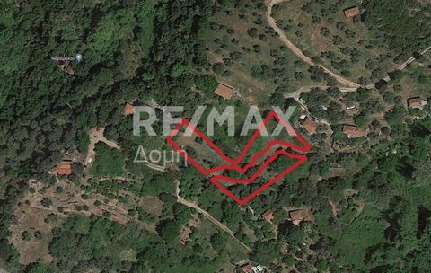 Property code: 17883-3687 Real estate consultant Dimos Hatzis, member of the Sianos Papageorgiou team and the RE/MAX Domi office. For sale is an excellent building plot, with a total area of 2,945 sq.m, in the Mousgies area of Sepiada. The plot is lo...