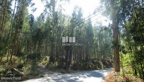 Vente de terrains forestiers de 3060 m², Vila Franca, Viana do Castelo. Situé dans un quartier calme, à quelques kilomètres de la ville. Réf.: VCM11975 ENTREPORTAS Fondé en 2004, le groupe ENTREPORTAS, qui a plus de 15 ans, est un leader de la médiat...