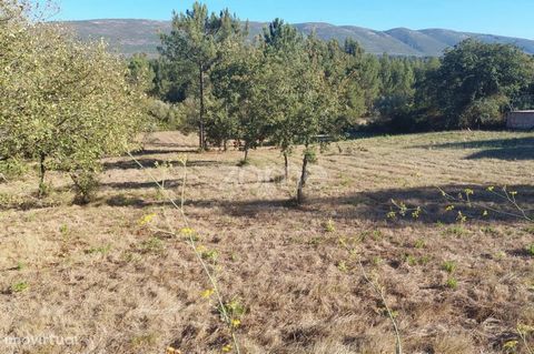 Property ID: ZMPT552105 Property description: Land for construction with 7080 m2 in Cumeira de Cima, Juncal 8 minutes from Porto de Mós and Alcobaça - maximum land use index of 0.3% Location and surroundings: - Location in a residential area in Costa...