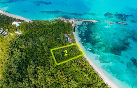 Don't miss this opportunity to own a piece of beachfront paradise on Rose Island, New Providence. Call Nikolai Sarles at ... for more information today!