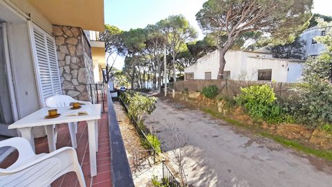 Groep van eenvoudige appartementen (35 m2) ligt in Llafranc, op slechts 150 meter van het strand en het centrum, in een rustige omgeving. In het noordoosten van het Iberisch schiereiland, een meest perfecte mix van kleuren is wat u kunt vinden aan de...
