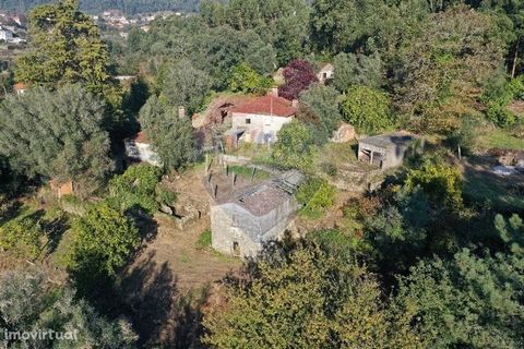 Small farm for sale in Mujães, Viana do Castelo. Small farm located in Alto Minho, surrounded by nature, by terraced fields and bouça, with a total area of 15,142 m2. The property has a watering tank and a mine. The bouça, according to the owner's in...