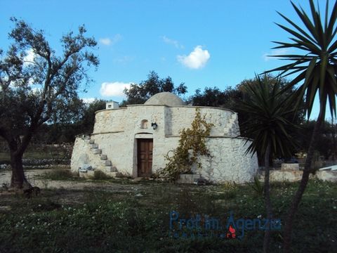 Partially renovated stone trullo in Carovigno, the building consists of a central room with cone and 2 side alcoves, fireplace and externally there is a cistern for collecting rainwater. The surrounding land is cultivated with olive grove, orchard an...